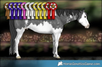 Horse Color:Black Sabino Splash