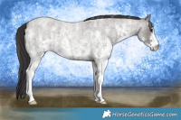 Horse Color:Smoky Grullo Roan Sabino 