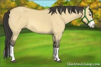 Horse Color:Buckskin Dun Splash Frame 
