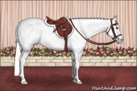 Horse Color:Silver Bay Tobiano Varnish