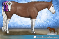 Horse Color:Silver Black Splash