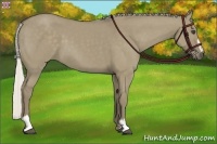 Horse Color:Silver Smoky Grullo Sabino