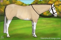 Horse Color:Amber Champagne Dun Sabino Splash Rabicano 