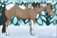 Horse Color:Classic Champagne Tobiano 