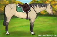 Horse Color:Buckskin Dun