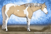 Horse Color:Silver Bay Dun Splash Tobiano 
