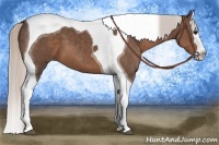 Horse Color:Silver Black Splash Tobiano