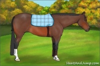 Horse Color:Bay Roan Frame 
