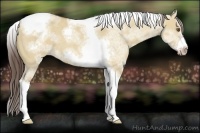 Horse Color:White Spotted Classic Champagne Dun Splash Tobiano Frame