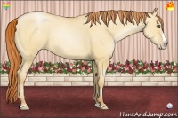 Horse Color:Amber Champagne Pearl Dun Sabino Splash Rabicano