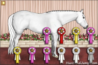 Horse Color:Gray Buckskin