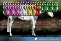 Horse Color:Black Splash Tobiano Appaloosa