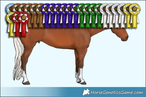 Horse Color:Silver Bay Tobiano 