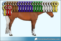 Horse Color:Silver Bay Tobiano