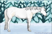 Horse Color:Perlino Roan Splash Tobiano 