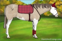 Horse Color:Classic Cream Champagne Roan Splash