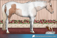 Horse Color:Red Roan Tobiano 