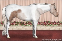 Horse Color:Red Roan Tobiano 