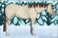 Horse Color:Classic Champagne Roan Dun Tobiano