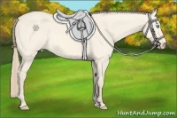 Horse Color:Perlino Dun