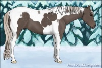 Horse Color:Silver Black Tobiano 