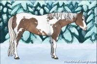 Horse Color:White Spotted Silver Black Splash Tobiano 