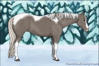 Horse Color:Silver Smoky Black Splash Tobiano Rabicano