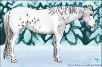 Horse Color:Grullo Sabino Splash Tobiano Blanket 