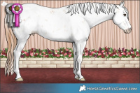 Horse Color:Red Dun Sabino