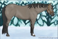 Horse Color:Smoky Grullo 