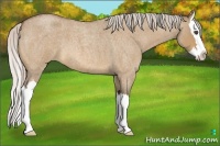 Horse Color:Silver Bay Roan Dun Splash 