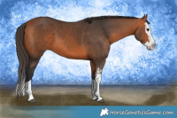 Horse Color:Bay Sabino Splash 