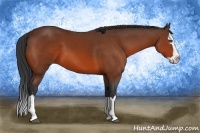 Horse Color:Bay Sabino Splash 