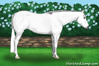 Horse Color:Gray Blue Roan 