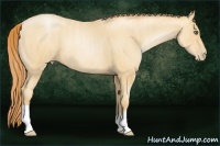 Horse Color:Amber Champagne Pearl  Brindle