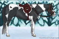 Horse Color:Black Sabino Tobiano 