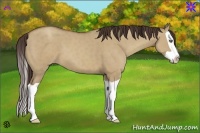Horse Color:Classic Champagne Dun Splash 