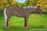 Horse Color:Silver Black 