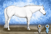 Horse Color:Gray Buckskin Roan Dun Tobiano 