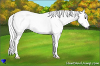 Horse Color:Gray Red Dun 