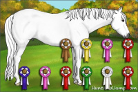 Horse Color:Gray Silver Smoky Grullo Rabicano 