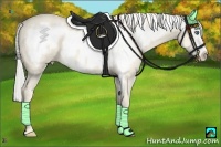 Horse Color:Silver Smoky Creme Dun Sabino Splash Frame 