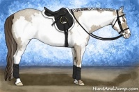 Horse Color:White Spotted Classic Cream Champagne Roan Frame