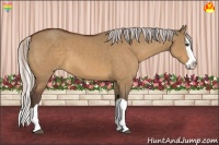 Horse Color:Silver Bay Dun Splash