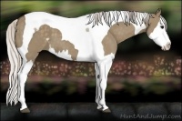 Horse Color:White Spotted Silver Grullo Splash Tobiano 