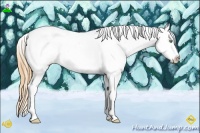 Horse Color:Amber Cream Champagne Roan Tobiano Frame Blanket 
