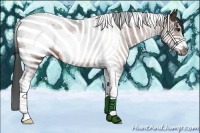 Horse Color:Bay Sabino Tobiano Frame 