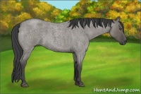 Horse Color:Smoky Grullo Roan 