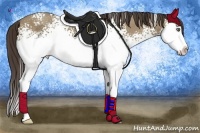 Horse Color:White Spotted Classic Champagne Sabino Splash