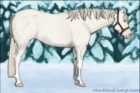 Horse Color:Smoky Creme Roan Dun Tobiano